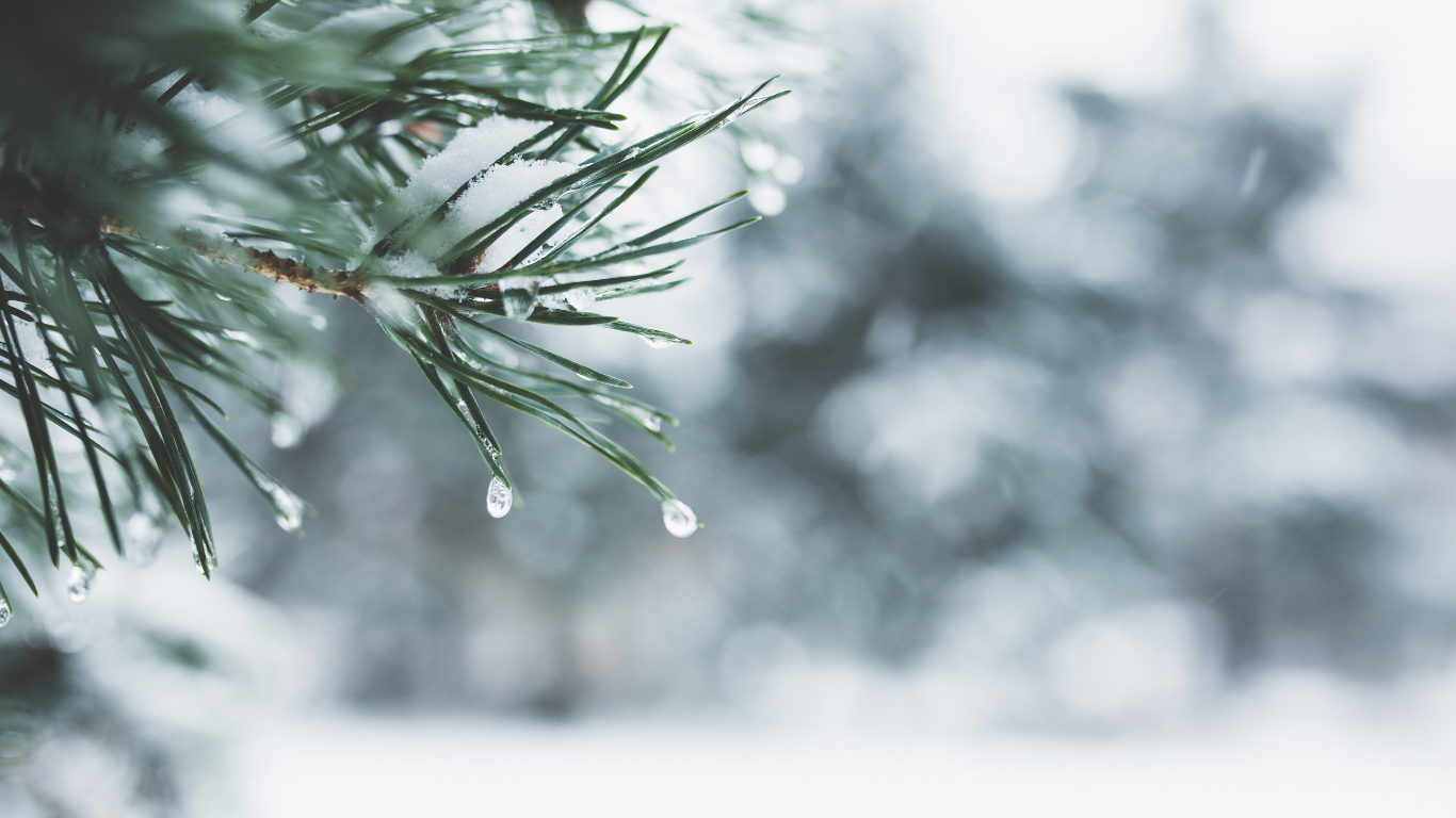 Planning Ahead: Collaborative Career Planning for 2026 and Beyond