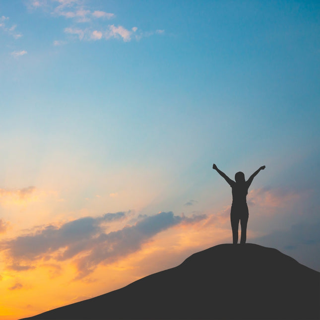 (Basic) Quest for Purpose eCourse